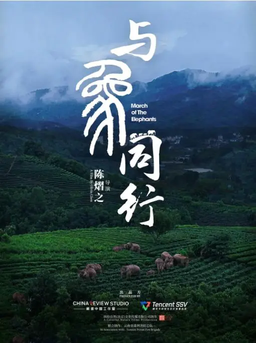 人与大象的感人旅程：《与象同行》展现自然界中隐藏的人性温暖与冒险精神