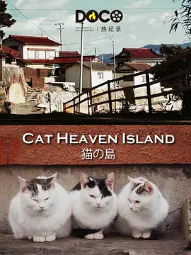 《猫之岛》：一场关于治愈与陪伴的奇幻旅程，让你找回内心的宁静与爱